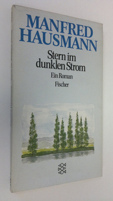 Manfred Hausmann : Stern im dunklen Strom : ein Roman