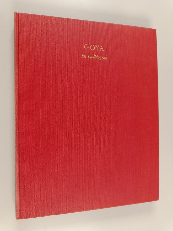 Vyvyan Holland : Goya : en bildbiografi