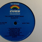THE DESERT ROSE BAND :: RUNING :: VINYYLI LP 1988 !! - pikkukuva 4