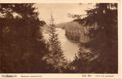 Oulunjoki Maisema Leppiniemeltä PK T11510