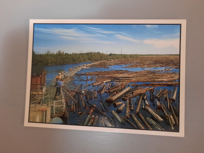 PK II, uitto käynnissä * metsäteollisuus