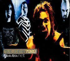 SUB URBAN TRIBE: Frozen ashes +1 + Video - CDs
