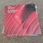 Peer Günt • Backseat LP - pikkukuva 2