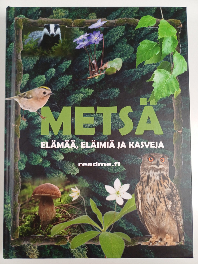 Viljami Ovaskainen : Metsä - elämää, eläimiä, kasveja