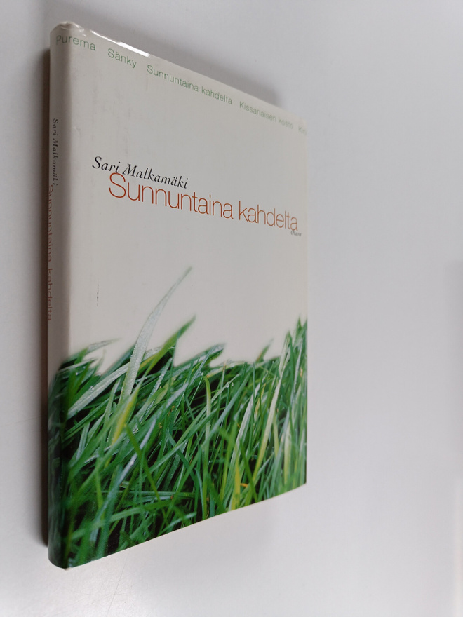 Sari Malkamäki : Sunnuntaina kahdelta : novelleja