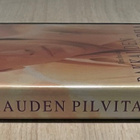 Rakkauden pilvitarha (1995) Alfonso Arau -elokuva - pikkukuva 3