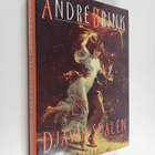 Andre Brink : Djävulsdalen - pikkukuva 1