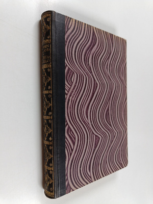 Romain Rolland : Das Leben Michelangelos