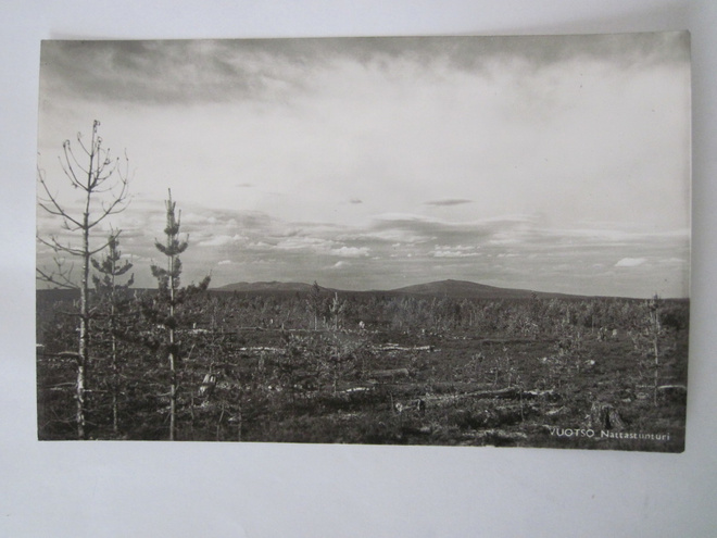 VANHA Postikortti Vuotso 1950-luku Alkup.Mallikappale