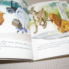 Disney Kaunotar ja Kulkuri - pikkukuva 3