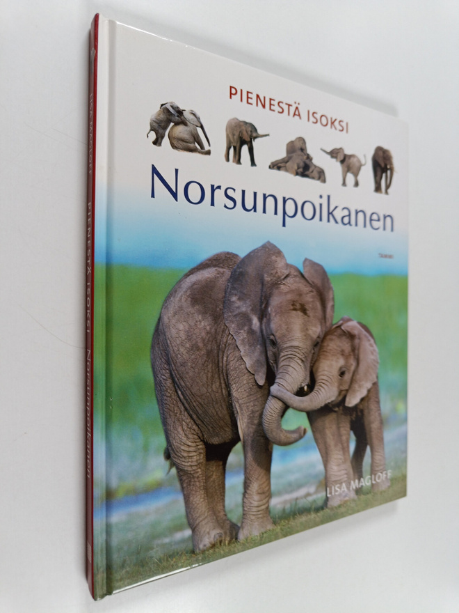 Lisa Magloff : Norsunpoikanen