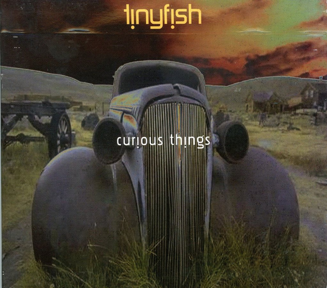 Tinyfish : Curious Things