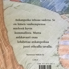 Amy Hest: Ankanpoika sateessa - pikkukuva 5