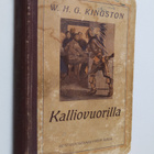 W. H. G. Kingston : Kalliovuorilla : seikkailuja suuressa... - pikkukuva 1