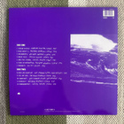 MIDNIGHT OIL: Scream In Blue - LIVE (LP) 1992 - pikkukuva 2