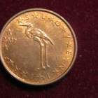 1 cent 2007. Slovenia - pikkukuva 1