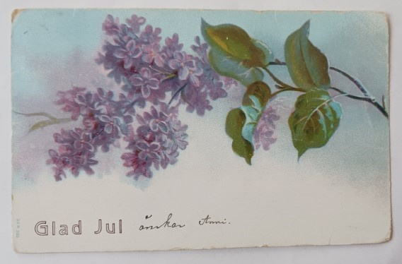 Sireeninoksa toivottamassa Hyvää Joulua, p. 1906