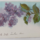 Sireeninoksa toivottamassa Hyvää Joulua, p. 1906 - pikkukuva 1