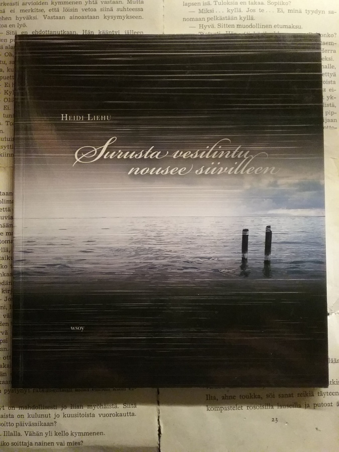 Heidi Liehu - Surusta vesilintu nousee siivilleen (nid.)