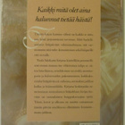 Tuula Salakari • Häät • Elämämme kaunein juhla - pikkukuva 2