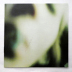 SMASHING PUMPKINS Pisces Iscariot CD 1994 HUIPPUKUNTO - pikkukuva 1