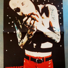 Marilyn Manson : 2 - puolinen posteri - pikkukuva 1