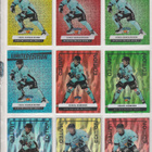 Pelicans Limited edition Blueline 24-25.25-26 s1.25-26 s2 - pikkukuva 1