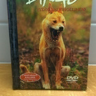Natural killers – Dingo – ystävä vai vihollinen, DVD, sis.pk - pikkukuva 1