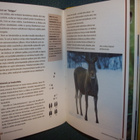 Dag Kjelsaas: RETKEILIJÄN ELÄINOPAS (2005) Sis.postikulut - pikkukuva 5