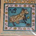 CD - CAPRICORN - kokoelma - klassinen musiikki MINT - pikkukuva 1