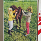 Pony Vintage Palapeli - pikkukuva 2