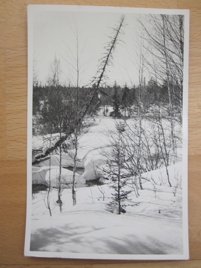 VANHA Postikortti Pyhätunturi Lappi 1950-luku