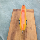 Salmo Slider 10 Floating - pikkukuva 3
