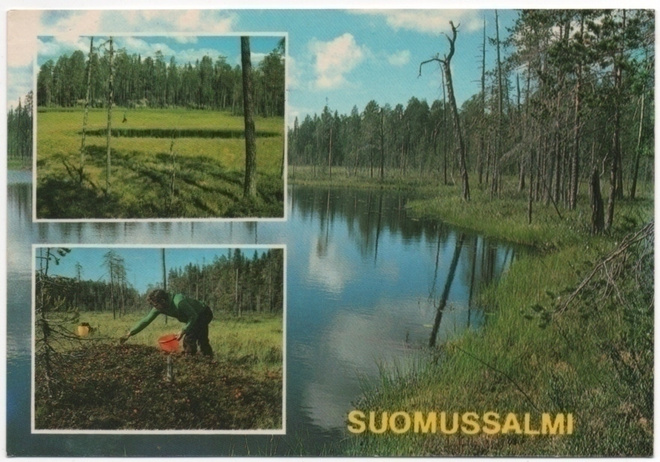 Suomussalmi suomaisemia