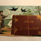 Jyväskylä haitarikortti - 1913 - pikkukuva 1