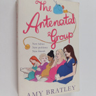 Amy Bratley : The Antenatal Group - pikkukuva 1