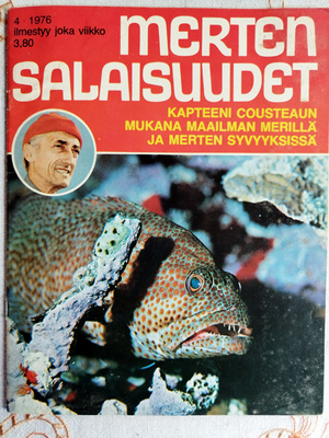 Merten Salaisuudet 4 1976