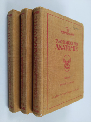 Hermann Voss ym. : Taschenbuch der Anatomie I-III