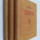 Hermann Voss ym. : Taschenbuch der Anatomie I-III - pikkukuva 1