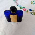 Olympiahajuvesipullo - pikkukuva 1