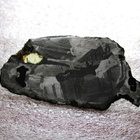 Meteoriitti levy pallasiitti 101 x 2 mm zoomorfinen Seymchan - pikkukuva 3