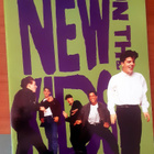 New Kids On The Block - valokuva-albumi - A3 - 1991 - pikkukuva 1