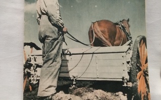 Pellervo n:o 7 1955