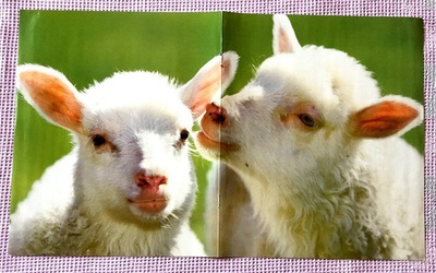 Lammas juliste