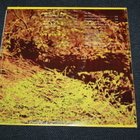 Keef James - One Tree or Another LP 1972 psych - pikkukuva 2