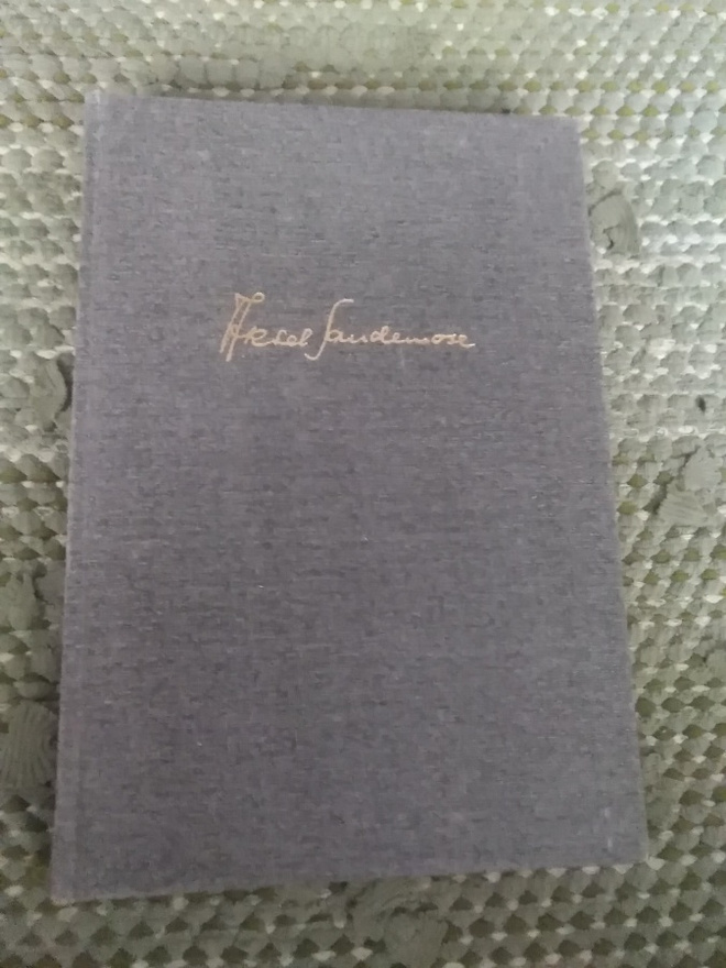 Aksel Sandemose: Jerikon muurit