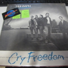 TRIUMPH - CRY FREEDOM LP EX-/EX- - pikkukuva 1