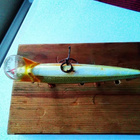 Rapala countdown Finland 8cm - pikkukuva 4