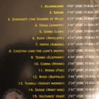 Matti Rag Paananen: The Sounds of Wild CD - pikkukuva 2