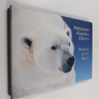 Pohjoisten alueiden eläimiä = Animals of the North - pikkukuva 1